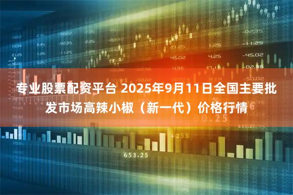 专业股票配资平台 2025年9月11日全国主要批发市场高辣小椒（新一代）价格行情