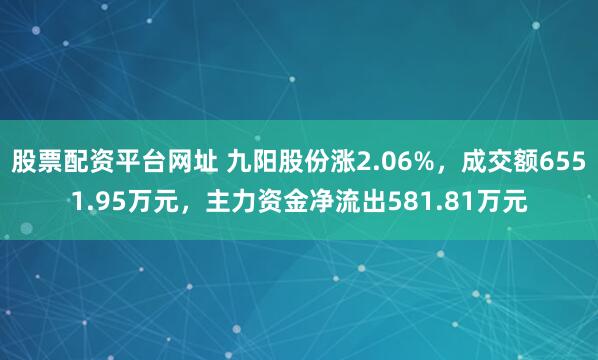 股票配资平台网址 九阳股份涨2.06%，成交额6551.95万元，主力资金净流出581.81万元
