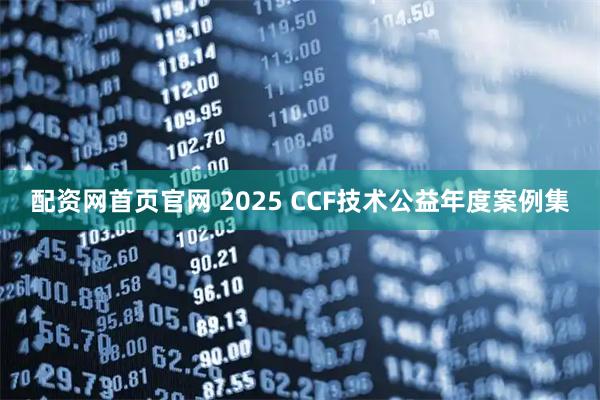 配资网首页官网 2025 CCF技术公益年度案例集